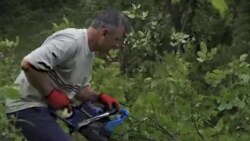 Gdje god odeš, manjina si