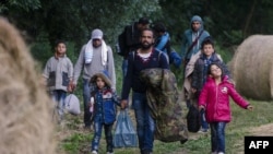 گروهی از مهاجرین در مرز میان هنگری و صربیا (تصویر آرشیف)