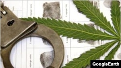 Иллюстрациялык сүрөт.