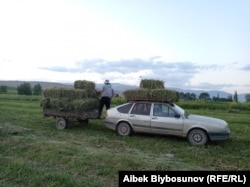 Иллюстрация. Жумгалдын Кызарт айылы.