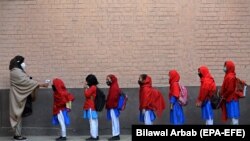 استادان وايي، له حکومتي لارښوونو سره سم يې په تعلیمي ادارو کې له کورونا څخه د خونديتوب لپاره اقدامات کړي دي.