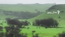 د عمان ظفار سیمې ته هرکال مېلیونونه سېلانیان ورځي