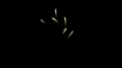 Глава МИДа РТ о приграничных проблемах