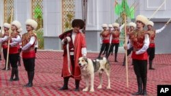 Праздник туркменского алабая был учрежден в январе 2021 года.  