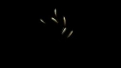 Таджикистан: в больницы Душанбе доставляют раненых