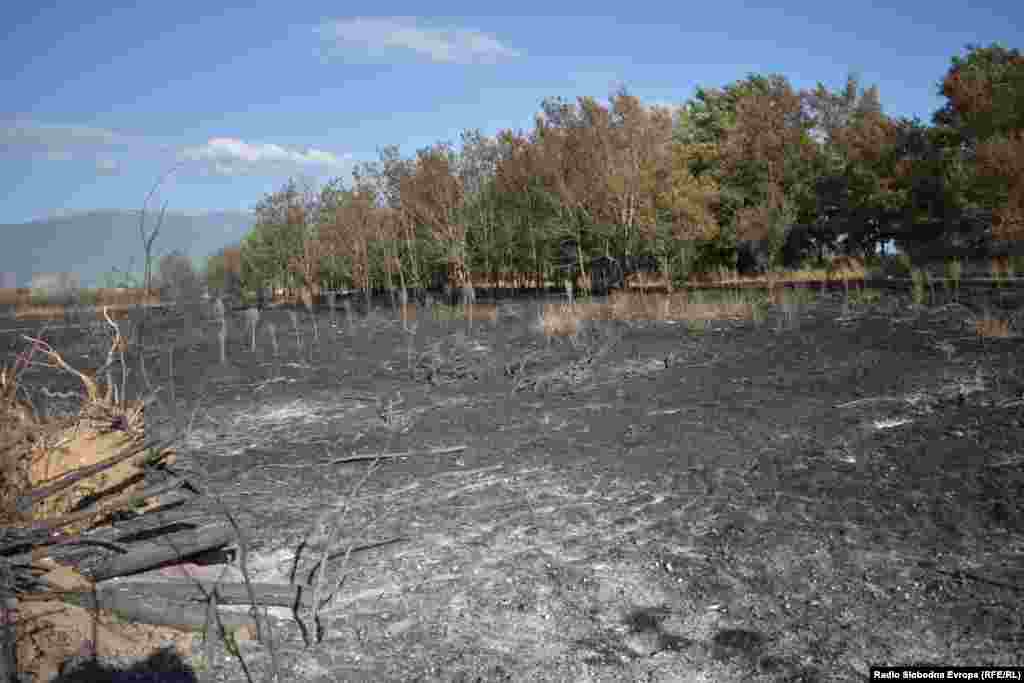 Последиците од пожарот на преспаснкото крајбрежје во Долно Перово и Езерани 