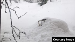 სოფელი შროშა, გურია