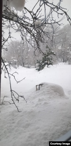 ხედი მარიამ ჩხაიძის სახლის ფანჯრიდან, სოფელი შრომა.