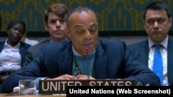 Džon Keli tokom svog obraćanja Savjetu bezbjednosti Ujedinjenih nacija.