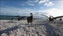 Havaji: Obamina zaštita okeana