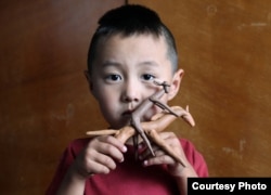 Сын Кентавра.