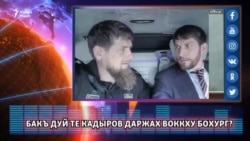 Бакъ дуй те Кадыров даржах воккху бохург?