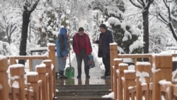 "Зимистон сард ояд, ангишту ҳезумамон кофӣ нест"