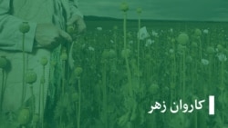  روانشناسان: بی توجهی روانشناس در هنگام تداوی سبب اعتیاد مجدد فرد معتاد شده میتواند 