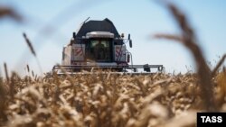 Fotografi ilustruese. 