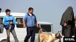 Ýazgulyýew: "ata-babalarymyz iti hem edil aty ýaly ynsanyň wepaly ýoldaşy hasaplapdyrlar".