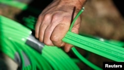 Иллюстративное фото 