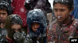 «UNHCR» در مورد وضعیت بی‎جا شده‎گان داخلی ننگران است.