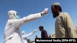 د کرونا ویروس د مشکوک کس د موندلو لپاره د تبې معلومول