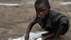 Конголук тестиер төгүлүп калган унду чогултууда. Архивдик сүрөт.