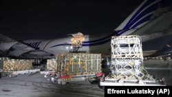 ამერიკული სამხედრო ტვირთი კიევის აეროპორტში. 2022 წლის 25 იანვარი