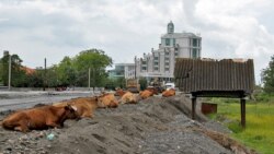 ანაკლია