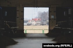 Ілюстрацыйнае фота