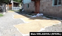 საშემოდგომო სამუშაოების მიუხედავად, წყალთბილის 400-მდე ოჯახი კორონავირუსმა სახლში გამოკეტა. მოხუცები ამბობენ, რომ სოფელში შიშმა დაისადგურა.