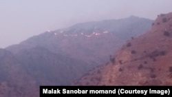 په خیبر پښتونخوا کې په غره کې اورونه قیمتي ونو ته زیان اړوي ـ انځور له ارشیفه.