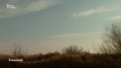 Поїздка вздовж білоруського кордону: Україна очікує вторгнення мігрантів