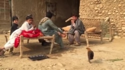 په پاکستان کې د افغان کډوالو ستونزې