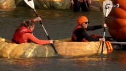 کله مو له کدو جوړه کښتۍ چلولې؟
