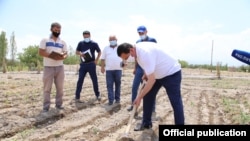 Фарғона вилоят ҳокими Шуҳрат Ғаниев далада кетмон чопяпти. Сурат Фарғона вилоят ҳокимлиги расмий сайтидан олинди.