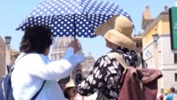 Sagorijevanje fosilnih goriva uzrok 1.500 smrtnih slučajeva uslijed toplinskog vala u Europi