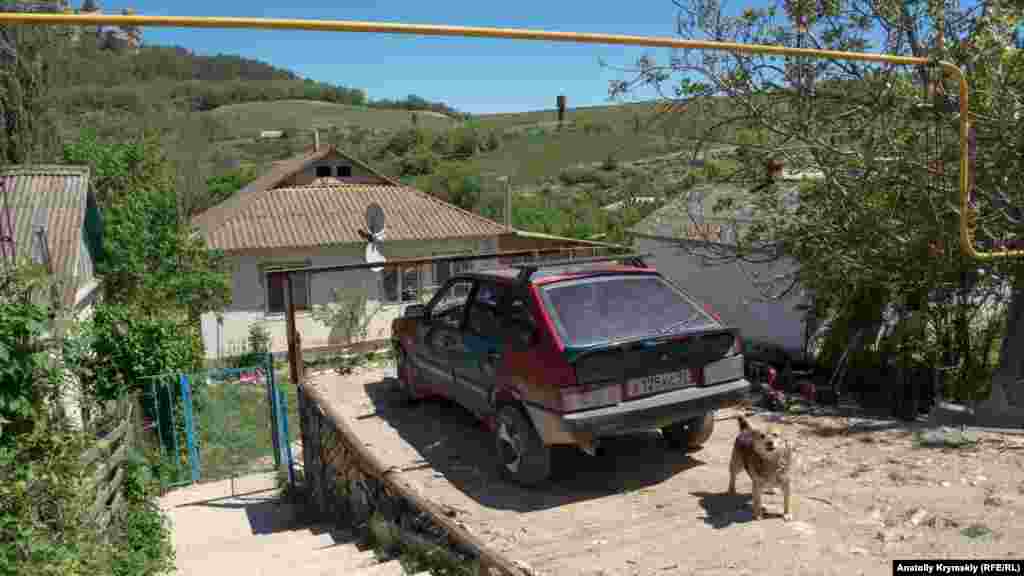 У цієї севастопольської &laquo;дев'ятки&raquo; пильний охоронець