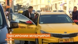 Шаҳри Санкт-Петербург ҳоло таксиронии муҳоҷиронро манъ намекунад