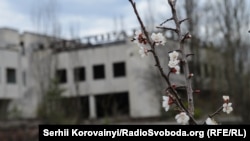 Прип’ять, 22 квітня 2015 року