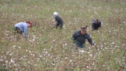 Balkanly 20-ä golaý kärendeçi öz ýerlerini ‘yzyna tabşyrmaga mejbur edilýär’