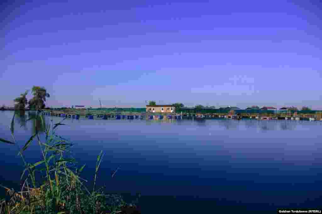 Кооз табияттын коюнунда балык бакканга эмне жетсин?&nbsp;