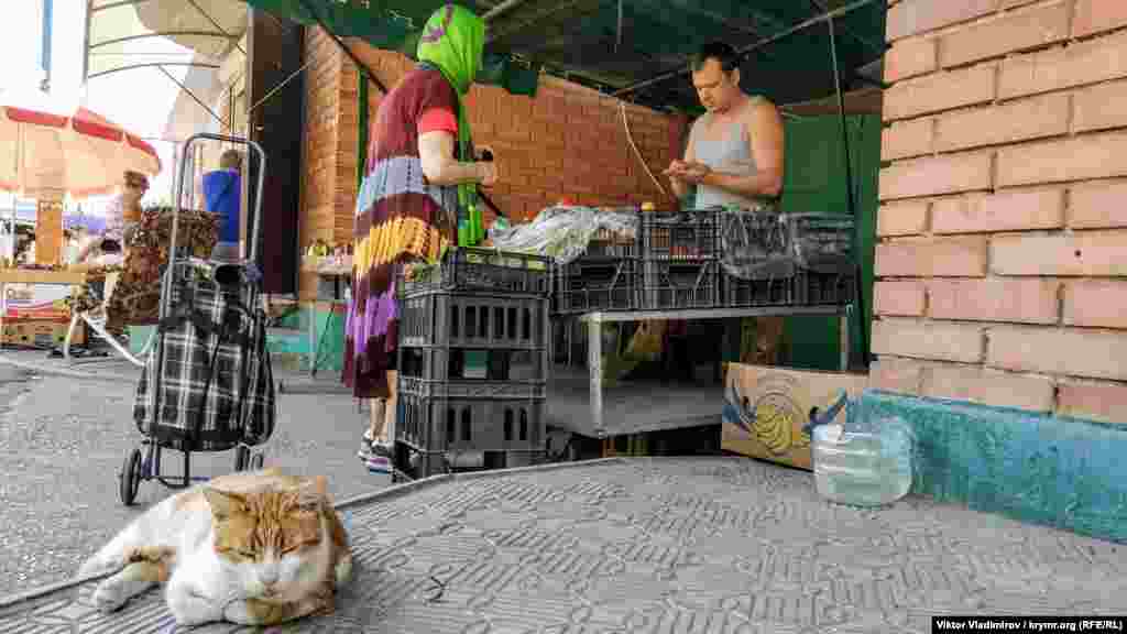 Mışıq yerli bazarçıqta raatlana