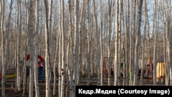 Городской парк в Мирном. Фото: Марина Сычева