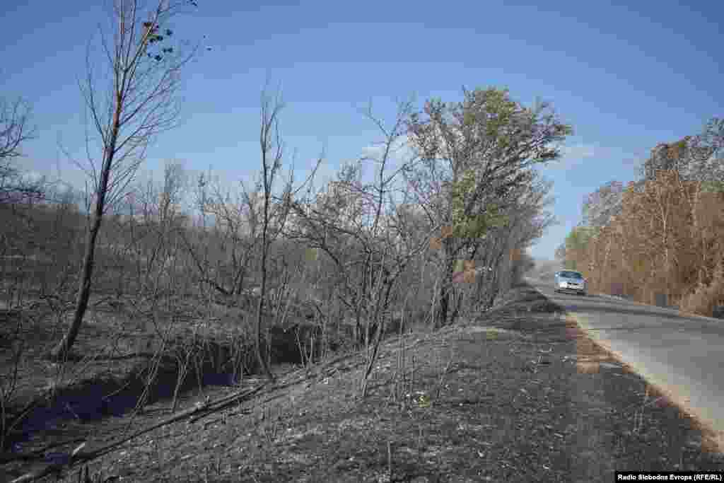 Пожарот поради силниот ветер преку патот се префрлил во овоштарниците во Долно Перово 