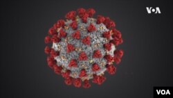 România a trecut de pragul de 850.000 de persoane infectate de la debutul pandemiei