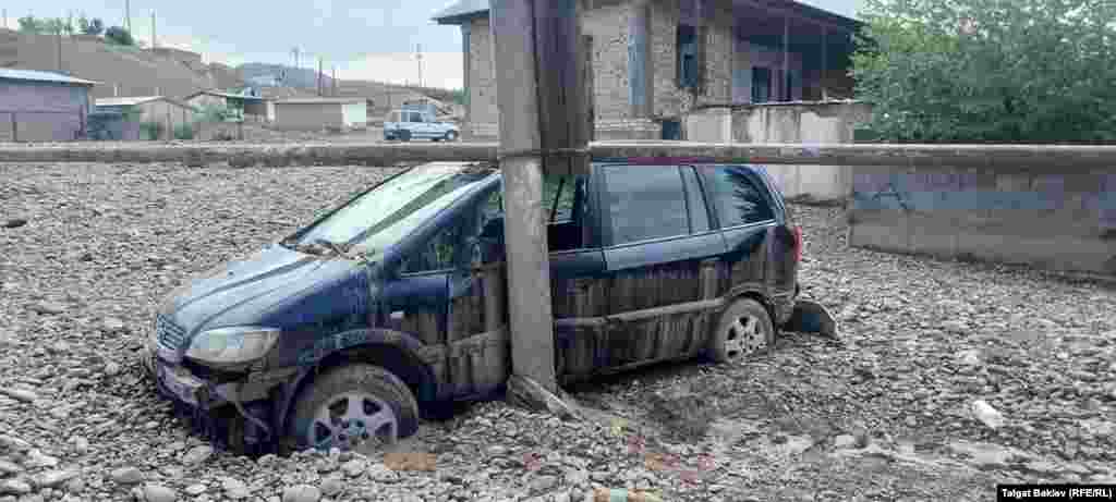 Селдин зыяны тактала элек. Чаңгыр-Таш айылы, Сузак району, Кара-Дарыя айыл аймагы. 21-июль, 2021-жыл.