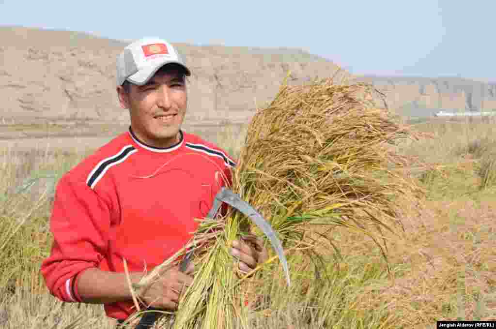 Другое "желтое" золото Баткена