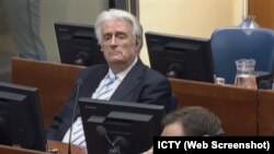 Поранешниот лидер на босанските Срби, Радован Караџиќ