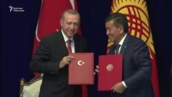 Эрдоган "Сапаттын" ордуна "Маарифти" сунуштады