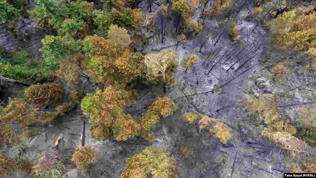 Foto nga droni të malit të djegur në Shtupeq të Bjeshkëve të Nemuna.&nbsp;