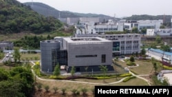 Institutul Wuhan s-a deschis în 1965, ca o instalație de microbiologie, cu accent pe agricultură. 