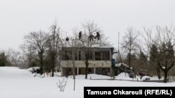 დიდთოვლობა გურიაში